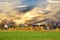 View of the green field with homes in the distance and farm buildings in forest on sunset background. Country houses in the