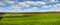 view of green field wheat and colorful slopes, rows of bush currant