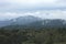 View of green hills and trees. Views of mountains and buildings The view of the road cuts through the natural route. animal