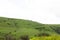 A view of green mountains and grass, dirt roads