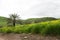 A view of green mountains and grass, dirt roads