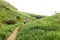 A view of green mountains and grass, dirt roads