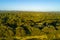 View of green native coastal vegetation.