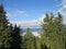 View at green Pinetrees with blue sky, clouds and mountains in background