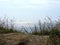 View of green plants on the hill, silver sea, Suomenlinna, Helsinki