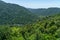 View of the green rainforest in the north of Australia