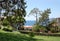 View of the green territory, pines and the blue sea in the hotel