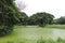 View of the greenery inside Acharya Jagadish Chandra Bose Indian Botanic Garden, Shibpur