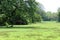 View of the greenery inside Acharya Jagadish Chandra Bose Indian Botanic Garden, Shibpur