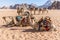 A view of  a group of camels ready to set off in the desert landscape in Wadi Rum, Jordan