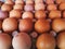 view of group of chicken eggs for sell in a market