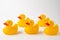 View of a group of five yellow ducklings for bathing, selective focus, on white background, horizontal,
