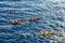 View of a group of Kayakers in the ocean