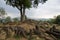 View Gunung Padang megalith site