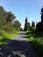 View of Haciosman Forest in Istanbul/ Turkey