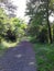 View of Haciosman Forest in Istanbul/ Turkey