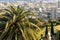 View of Haifa from the hill. Partly visible gardens of the Bahai Shrine of the Bab