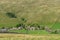 A view of Halton Gill a small hamlet and civil parish in Littondale in the Yorkshire Dales in North Yorkshire