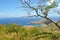 VIEW OF HANAUMA BAY IN OAHU, HAWAII