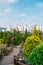 View of Hanbat Arboretum and modern buildings at autumn in Daejeon, Korea