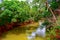 View of the hanging bridge with lush greenery over the river