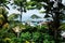 View on the harbor of Labuan Bajo, Flores, Indonesia