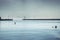 View of a harbor wall and signal lights with a beautiful misty sea in Mossel Bay, Cape Town, South Africa