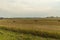 View of harvested field with hay rolls gathered for further transportation to stores. Agriculture concept. Technology concept.