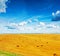 View on harvested field of wheat with many bales