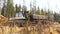 View on harvesting machine loading logs in forest