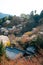 View of Hasedera temple at spring in Nara, japan