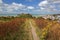 View of Hastings Castle from a path located on the West Hill with the Pier and the sea in the background, Hastings, UK