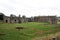 A view of Haughmond Abbey