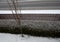 View of the hedge from the upper window of the house. trees and a fence made of planks. everything is snowy even roads and street