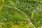 View from the height of the loshitsky Park in Minsk.Winding paths in loshitsky Park.Belarus.Apple orchard