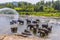 A view of a herd of elephants enjoying a refreshing shower in the Maha Oya river at Pinnawala, Sri Lanka, Asia