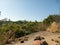 View from high nature, trees, leaves, mountains and clear sky