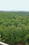 view from the highest part of a treetop path over a large woodland area