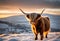 A view of a Highland Cow in a field of snow