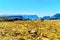 View of the highveld and the Blyde River Canyon along the Panorama Route