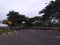 View of the highway full of shady trees