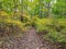 The view of hiking trail in the fall near Bellevue State Park, Wilmington, Delaware, U.S.A