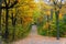 The view of of a hiking trail with stunning fall foliage near Mount Royal, Montreal, Canada