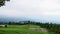 The view on the hill of green tea plantations when the weather is cloudy