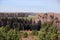 View from the hill on green valley, green and black trees and heavy sky