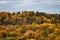 View of the hill overgrown with forest with autumn color of leaves.