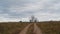 View from the hill to the autumn natural landscape. Russian field