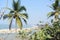 View from hill to the white sand beach against the sea and blue sky on sunny tropical day. A long curved coastline with coconut