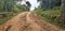 View of the hilltop pathway north of Thailand.