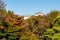View of Himeji Castle buildings from Koko-en japanese Garden through colorful autumn trees, Himeji, Japan,